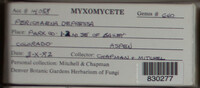 Image Associated With the Occurence